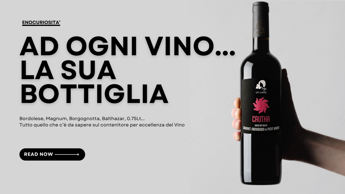 Tipologie e formati di bottiglie di vino