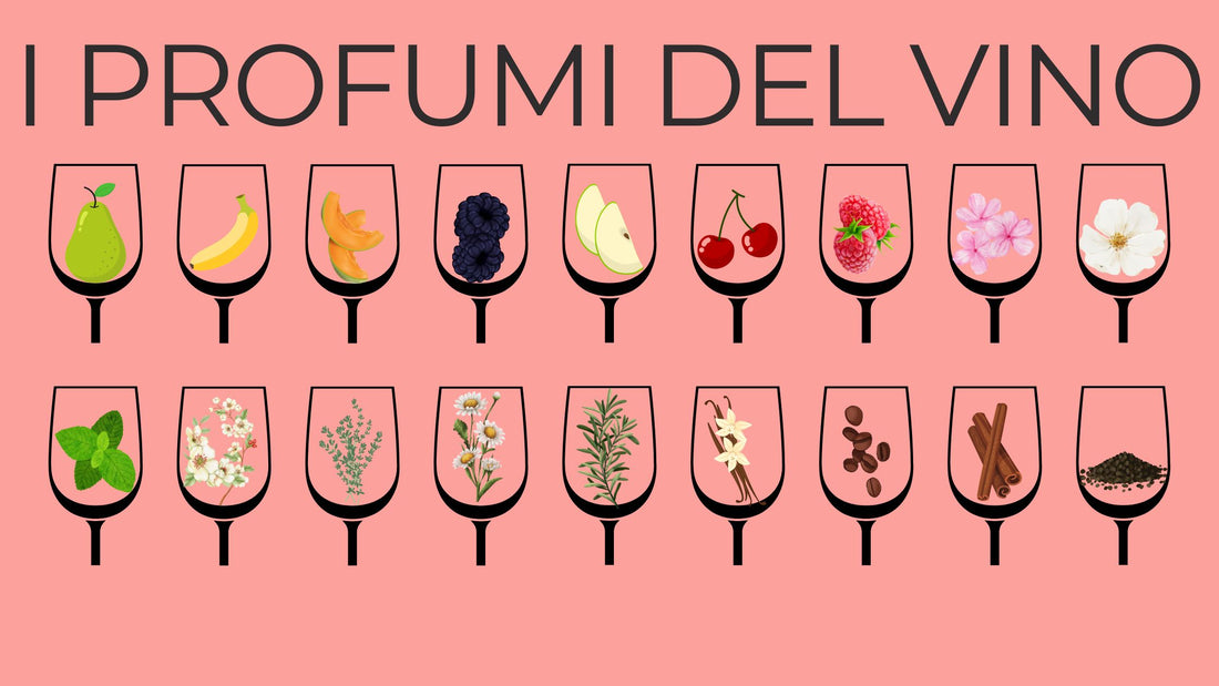 I Profumi del Vino