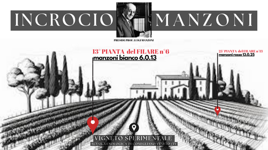 Racconti di vita e vite : perchè un Incrocio Manzoni in Tuscia