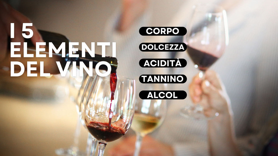 Comprendere le 5 componenti chiave del Vino