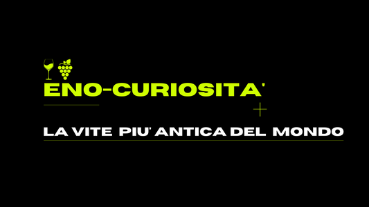La vite più antica del mondo