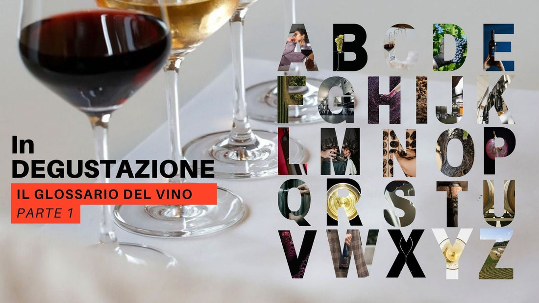 Il dizionario facile facile del Vino__ In Degustazione