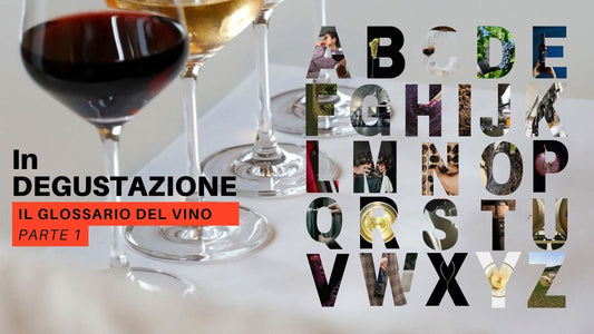 Il dizionario facile facile del Vino__ In Degustazione