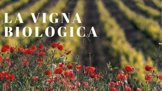 La Viticoltura Biologica