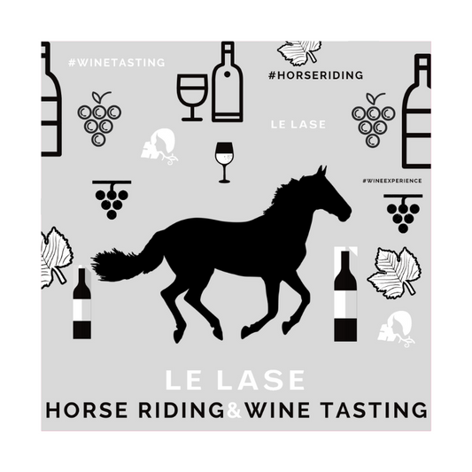 VOUCHER REGALO HORSE RIDING & WINE TASTING