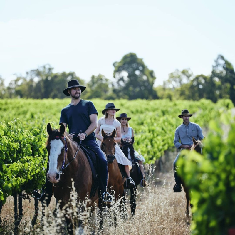 VOUCHER REGALO HORSE RIDING & WINE TASTING